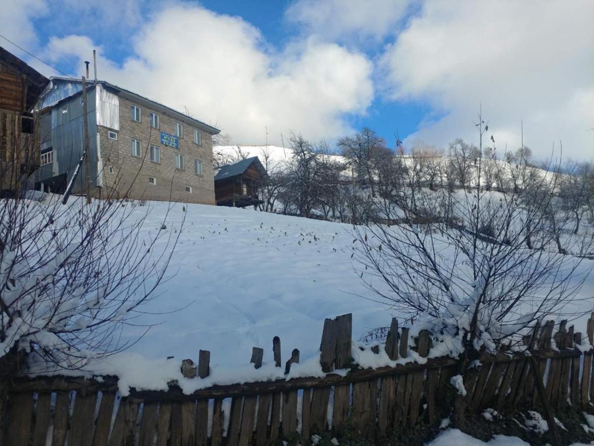 Guest House Luka Danisparauli Exterior foto
